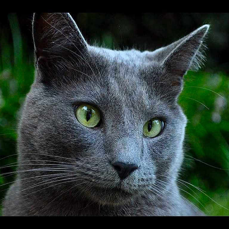 Smokey joined the competition — help win amazing prizes!