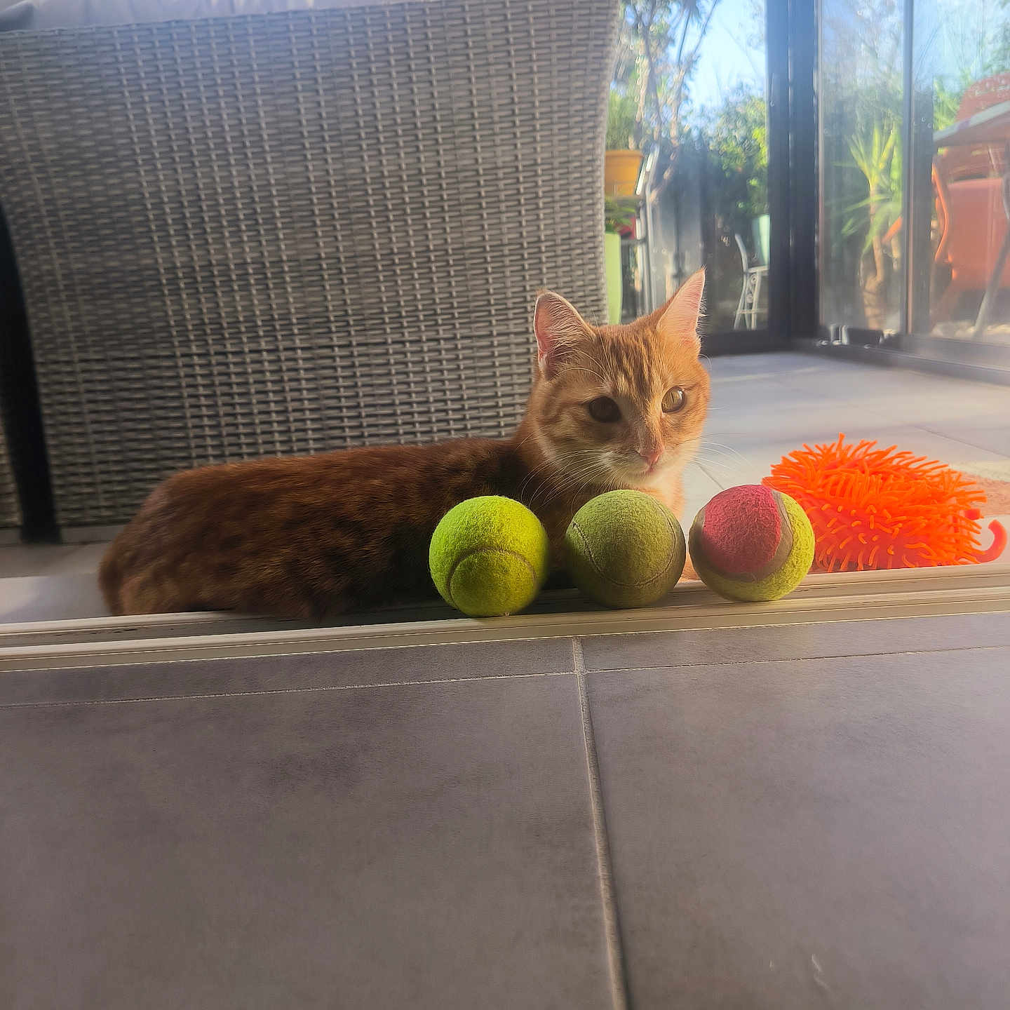 Mia