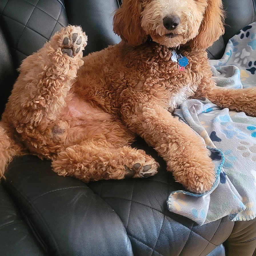 Max