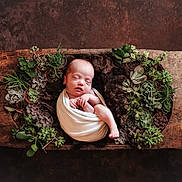 Colby is registered to the contest to win money with this photo: art, baby, face, flower, hardwood, head, jar, leaf, newborn, person, photography, plant, planter, porcelain, portrait, pottedplant, pottery, sleeping, vase, wood