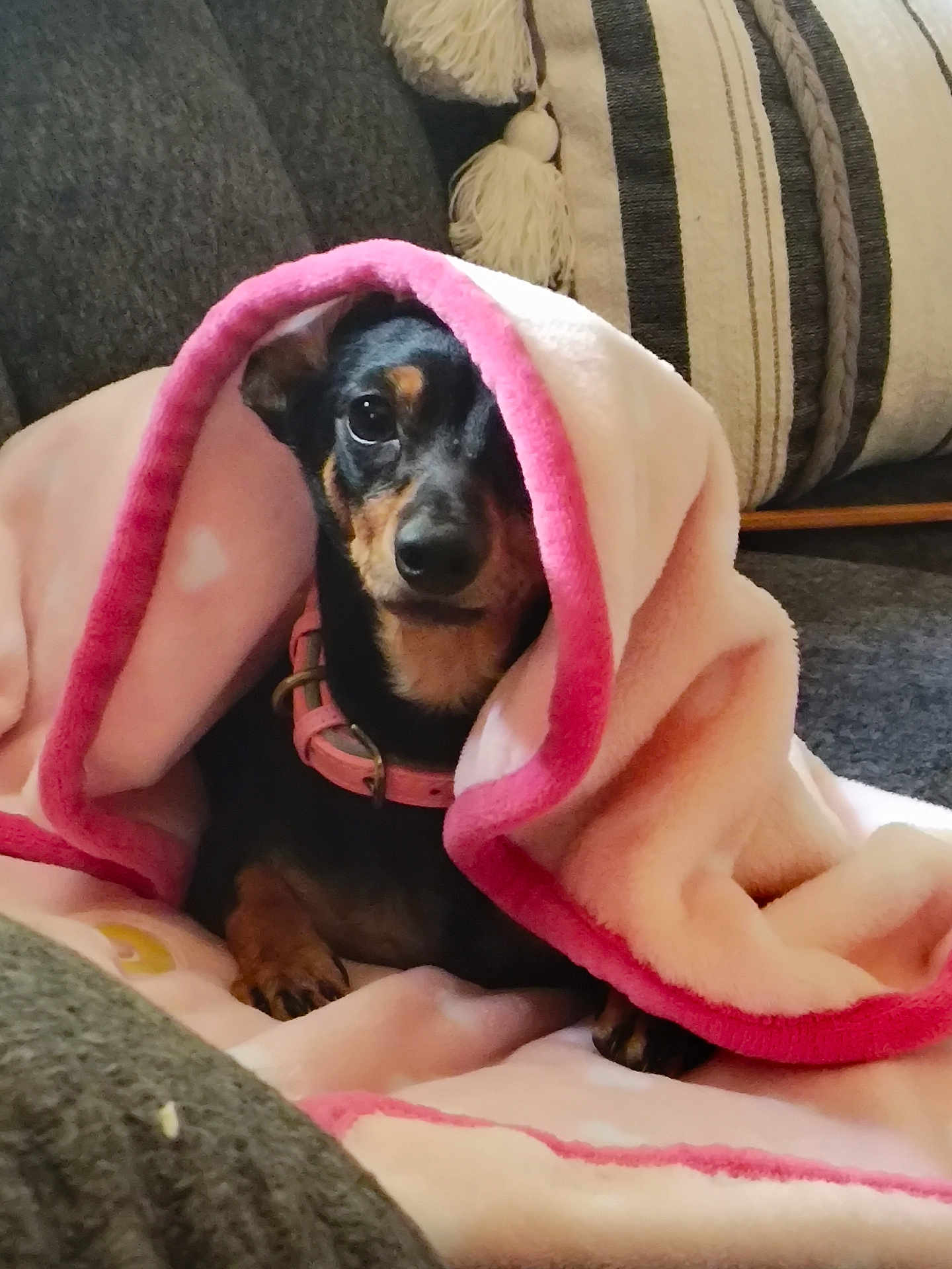 Tilly