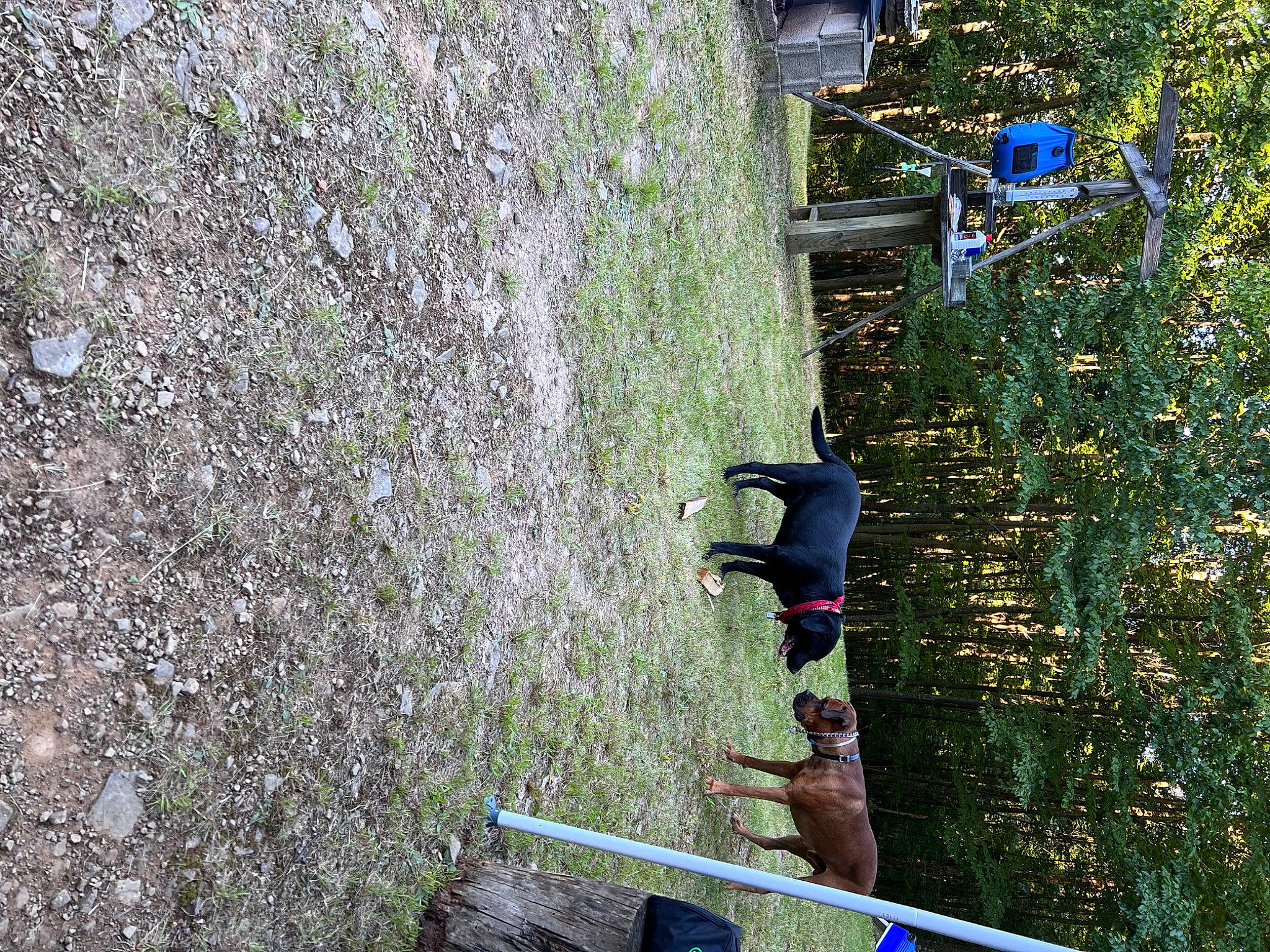 Ruckus joined the competition — help win amazing prizes! adventure, bedrock, concrete, grass, groundcover, landscape, leisure, plant, pole, recreation, shadow, shrub, street_light, tree, urban_design, wall