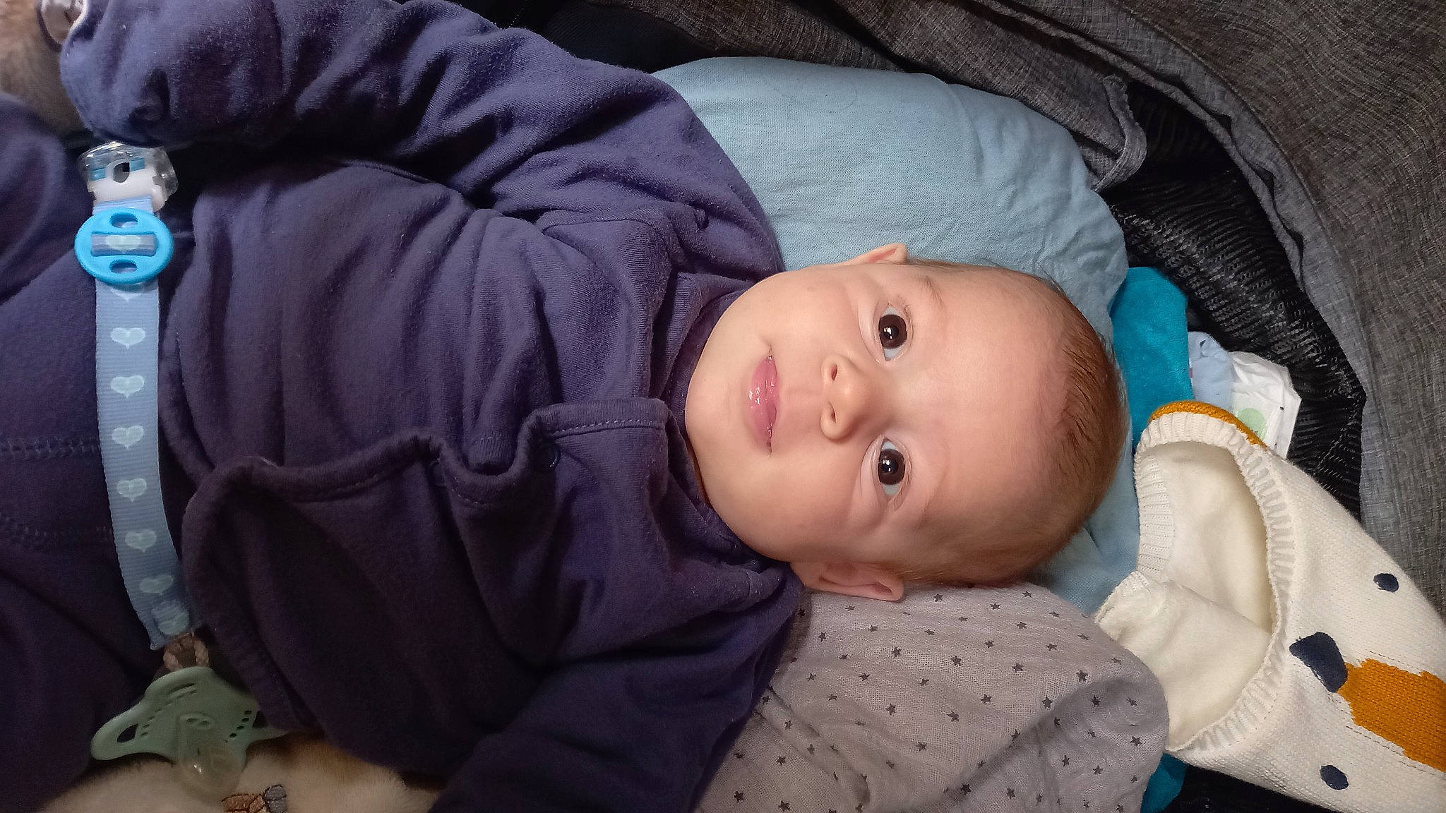 élye a rejoint le concours — aidez-le/la à gagner de superbes lots ! baby, baby_toddler_clothing, blue, cheek, child, clothing, comfort, eye, face, iris, lip, nose, outerwear, person, sitting, skin, sleeve, toddler, tree, winter