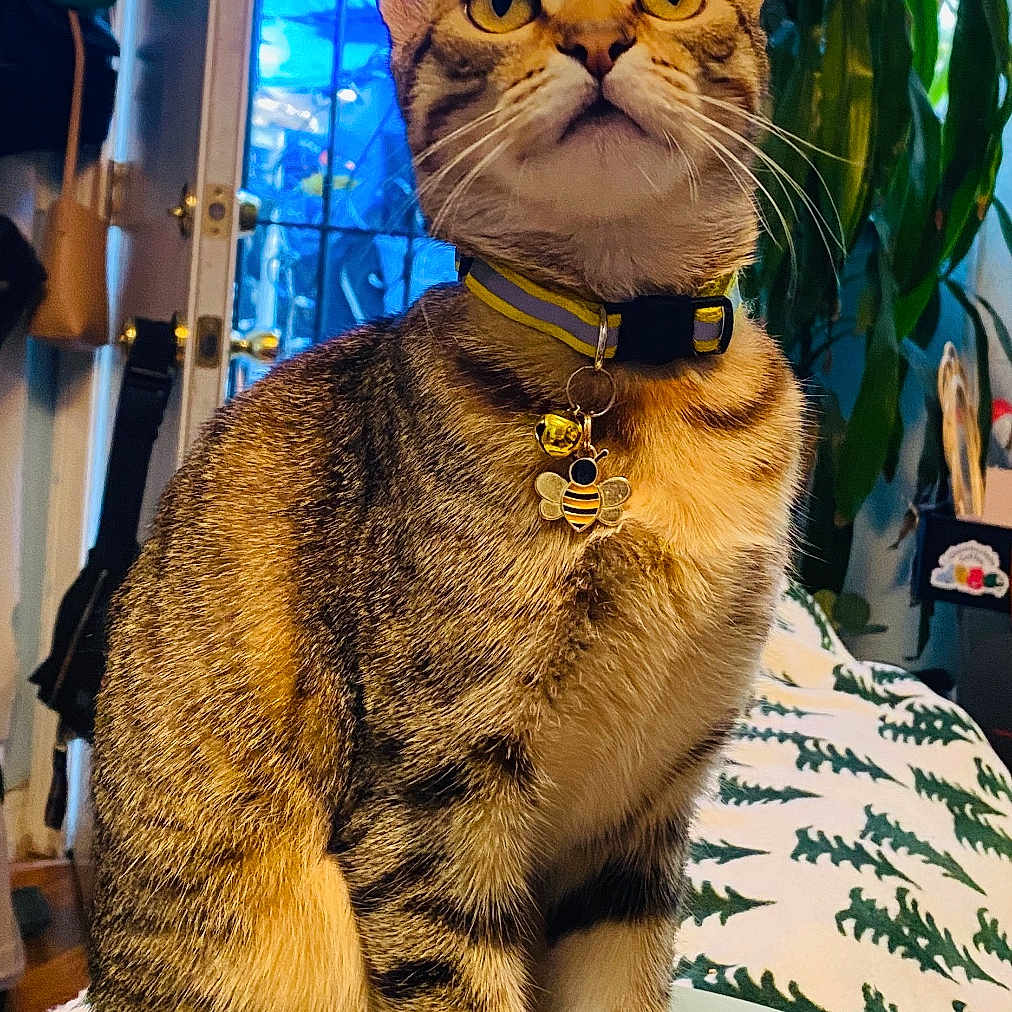 Mila