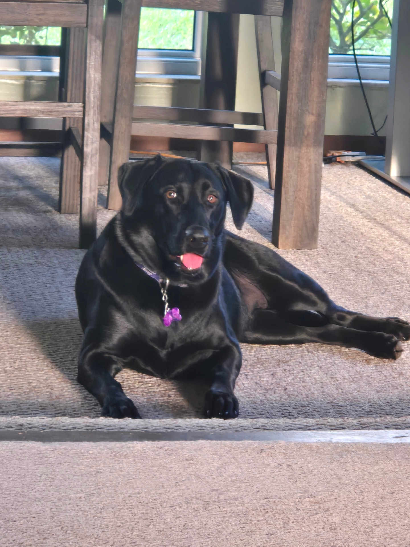 Lucy