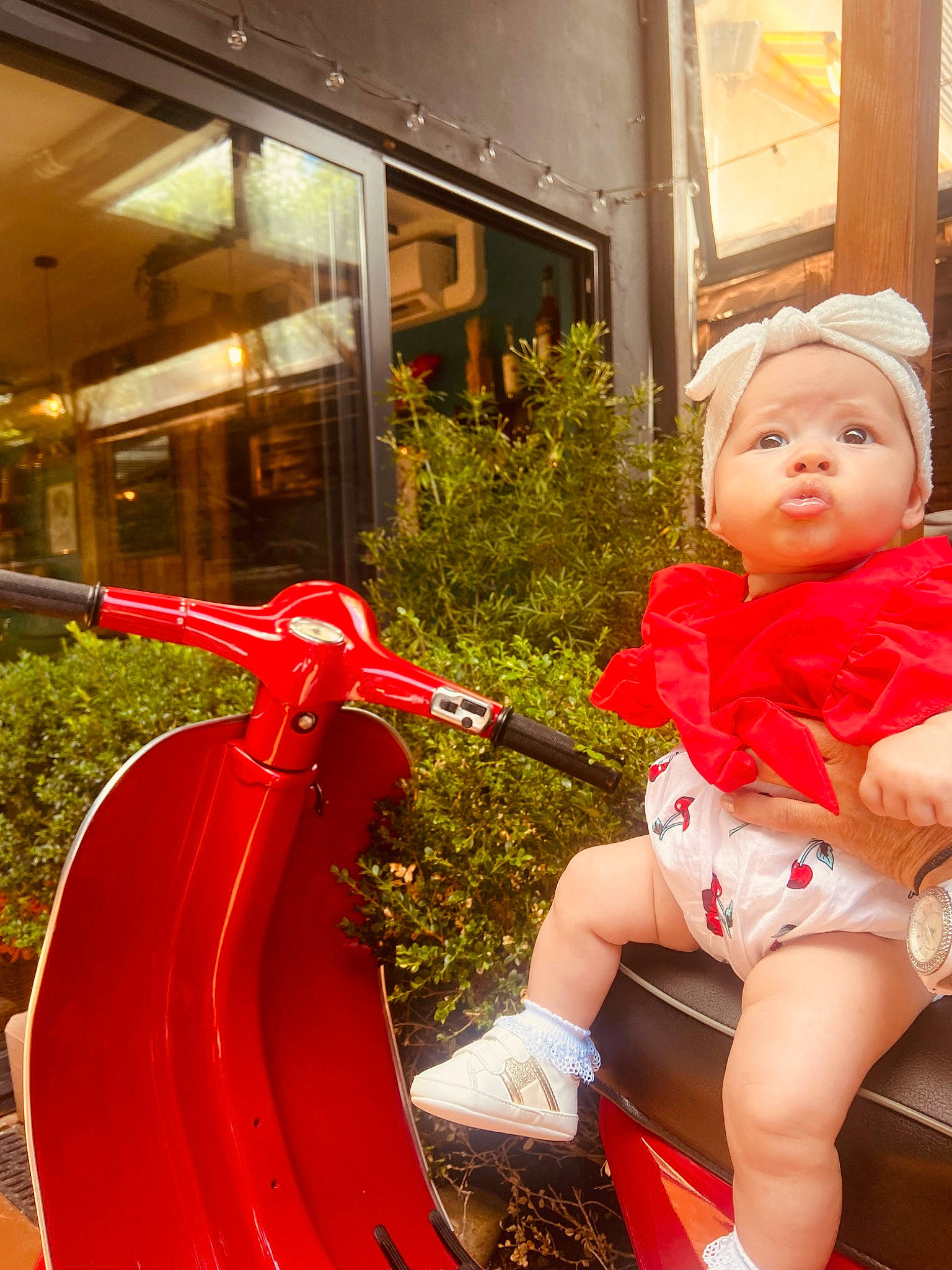 Clara Bella a rejoint le concours — aidez-le/la à gagner de superbes lots ! baby_toddler_clothing, carmine, christmas, christmas_eve, fictional_character, fun, happy, holiday, human_leg, lap, leg, leisure, person, plant, riding_toy, shorts, sitting, sock, thigh, toddler