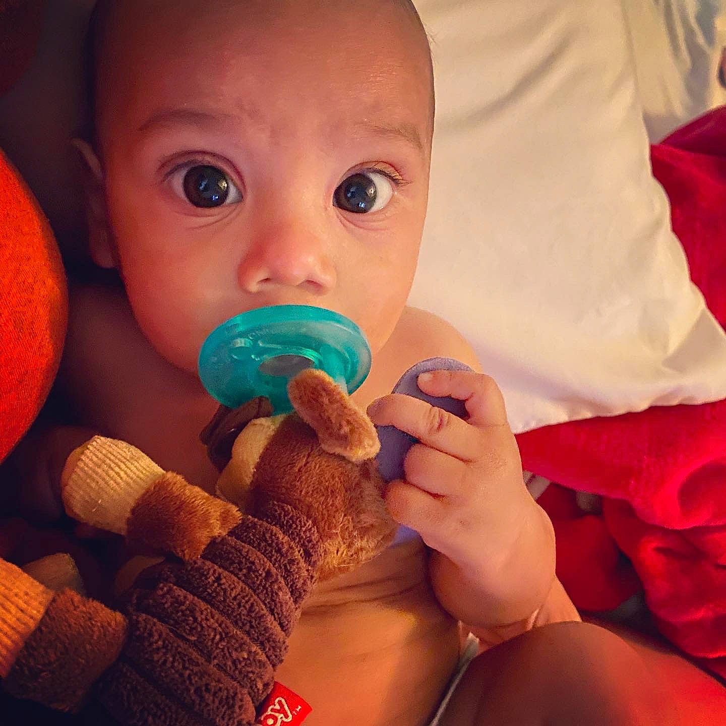 Abram is registered to the contest to win money with this photo: baby, baby_products, baby_toys, cheek, child, eye, finger, hand, lip, mouth, nail, nose, person, play, product, skin, thumb, toddler