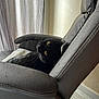 Kazoo participe au concours pour gagner de l'argent avec cette photo : animal, black_cat, cat, chair, comfortable, cozy, curtains, feline, fur, home, indoor, leather_chair, looking_up, pet, relaxed, resting, soft_light, whiskers, window, yellow_eyes