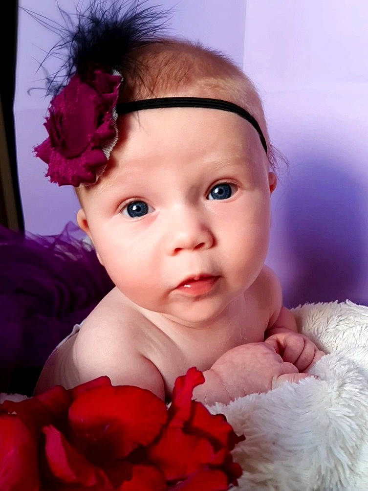 Laura participe au concours pour gagner de l'argent avec cette photo : baby, beauty, cheek, child, child_model, eye, face, fashion_accessory, fur, hair_accessory, head, headband, headgear, headpiece, headwear, lip, person, petal, photography, pink