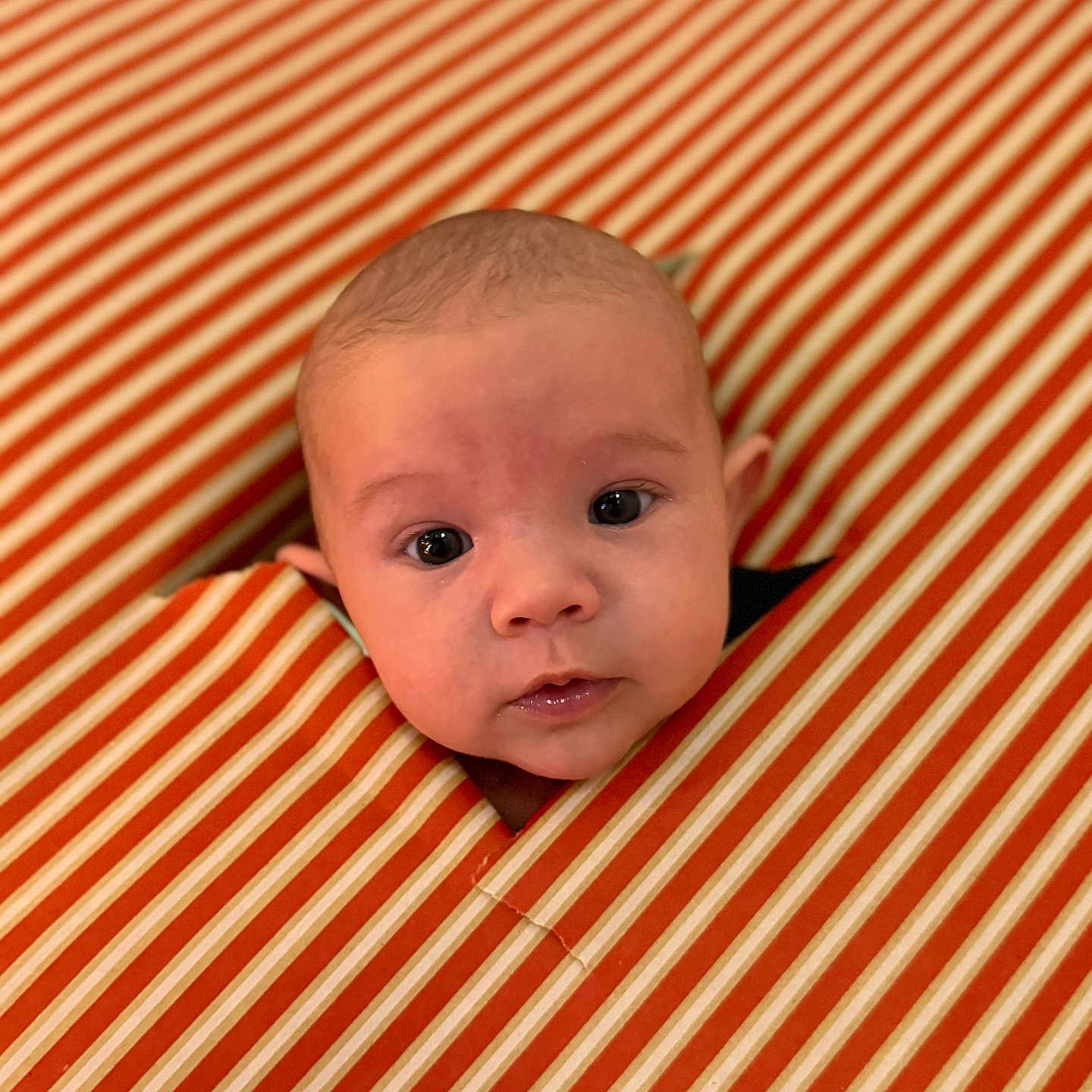 Ezio participe au concours pour gagner de l'argent avec cette photo : baby, child, closeup, curious, cute, expression, eyes, face, head, hole, indoor, infant, orange, pattern, peek, portrait, soft_light, striped_fabric, white, young