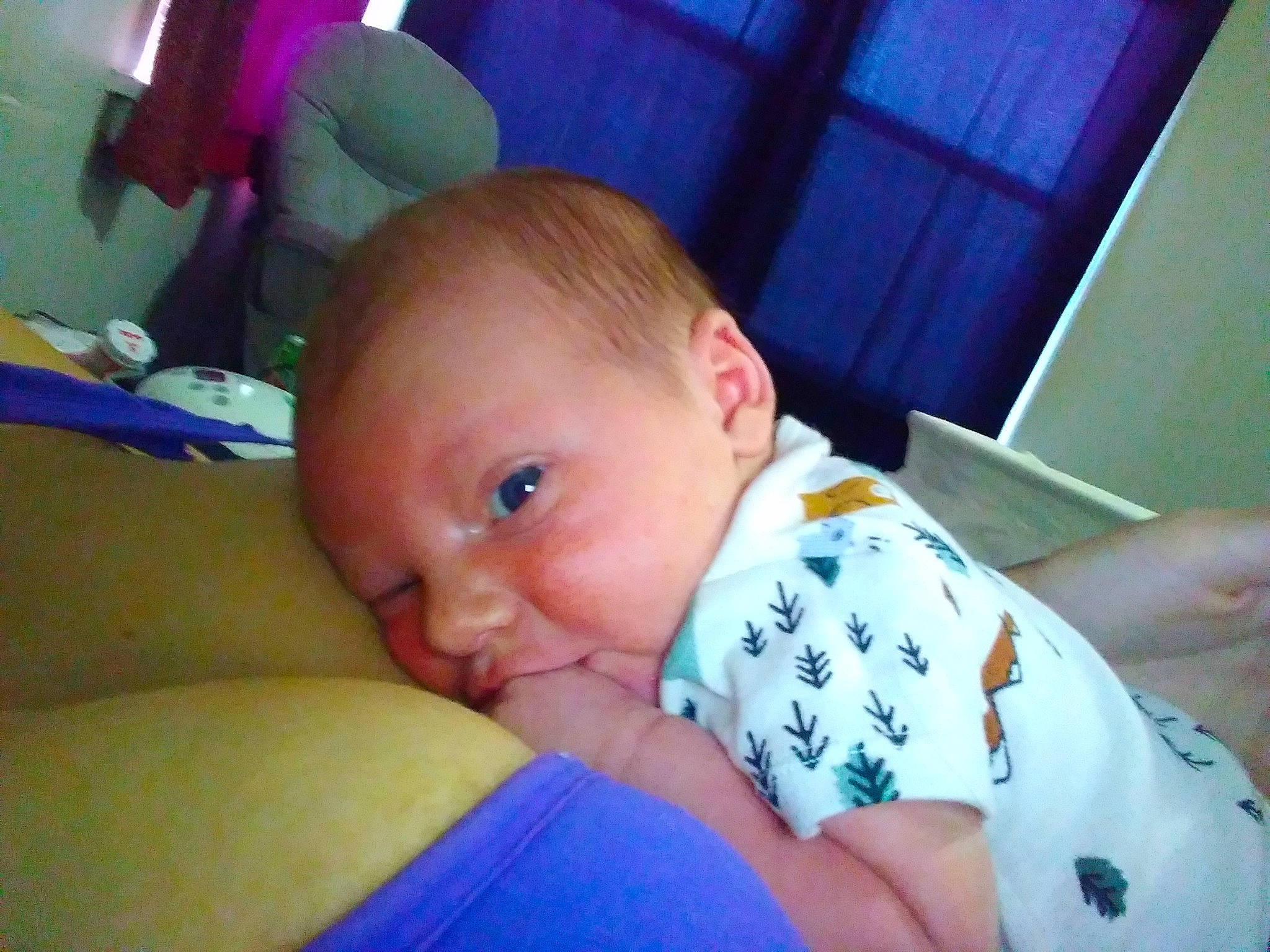 Jaxtyn Anthony joined the competition — help win amazing prizes! baby, baby_toddler_clothing, cheek, child, comfort, couch, curtain, elbow, flooring, fun, person, room, sitting, skin, smile, toddler