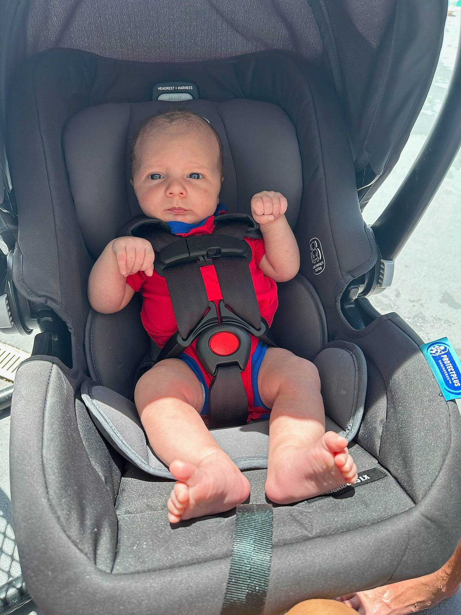 Jaxtyn Anthony is registered to the contest to win money with this photo: arm, auto_part, automotive_design, baby_carriage, car, car_seat, car_seat_cover, comfort, head_restraint, human_body, leg, motor_vehicle, person, plant, product, seat_belt, toddler, vehicle_door, wheel, white