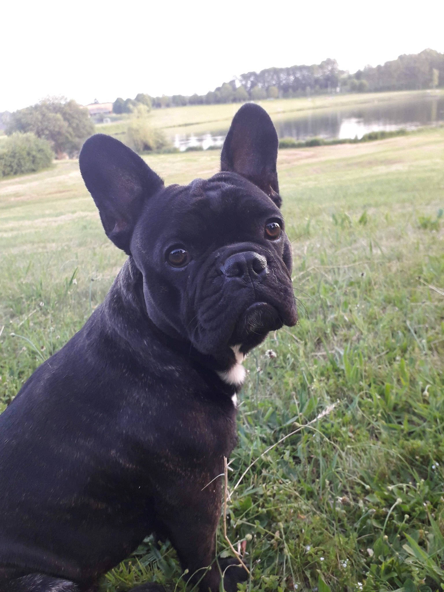 Léon