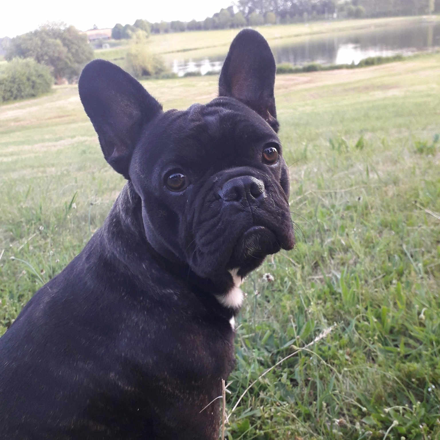 Léon