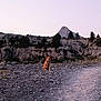adventure, animal, dog, dusk, evening, hill, landscape, mountain, nature, outdoor, path, pet, quiet, rocks, rocky_terrain, scenic, sky, solitude, trees, wilderness