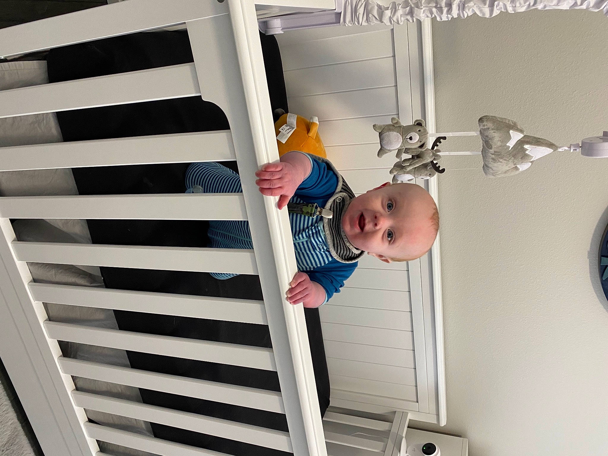 Ledger joined the competition — help win amazing prizes! aluminium, baby, baby_products, baby_toddler_clothing, ceiling, child, comfort, composite_material, gas, handrail, light_fixture, mechanical_fan, metal, person, product, room, sleeve, stairs, t_shirt, toddler