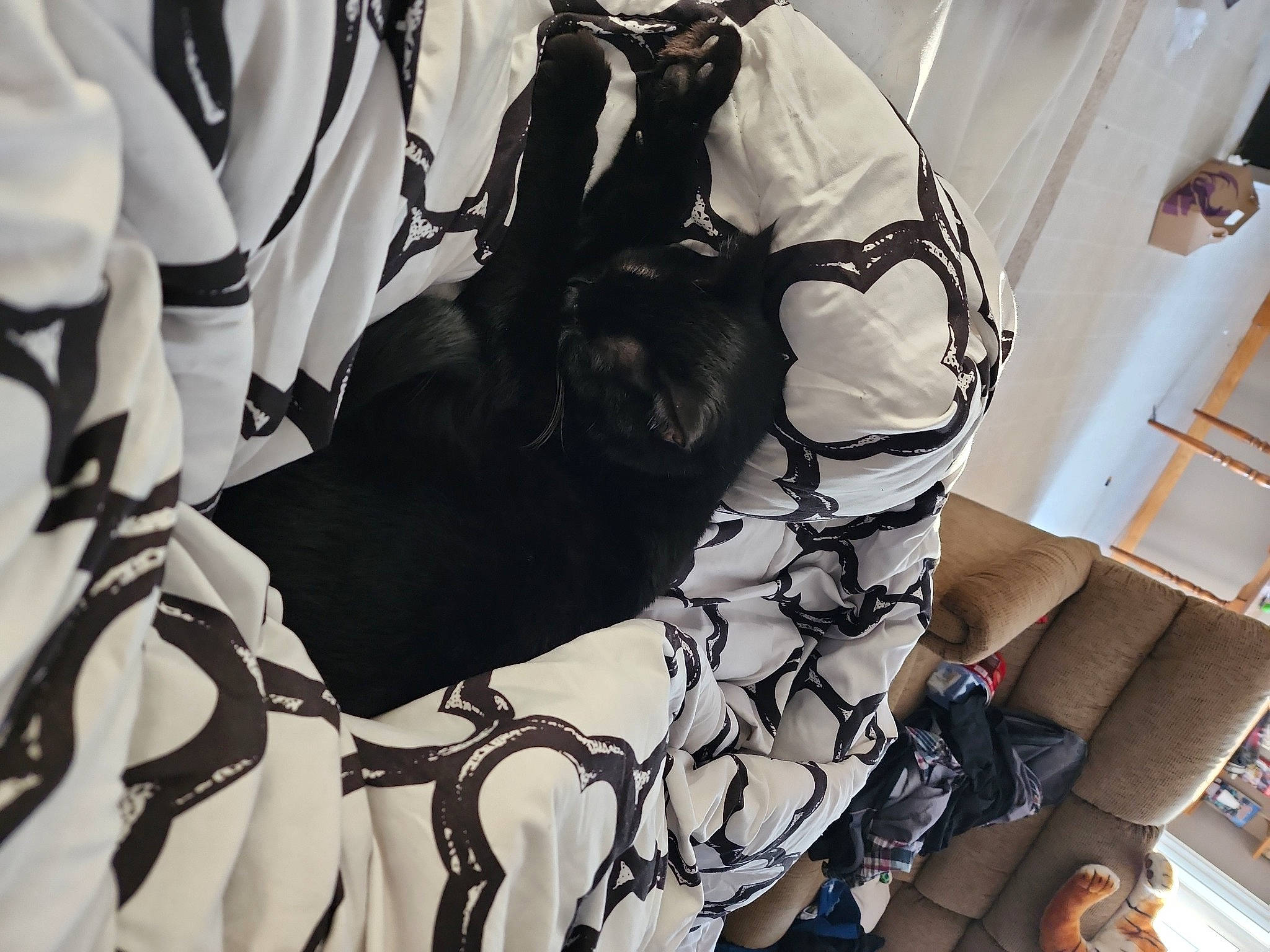 Felix is registered to the contest to win money with this photo: automotive_design, bag, baggage, brand, comfort, eyewear, fashion_accessory, fashion_design, font, fur, human_leg, linens, luggage_and_bags, monochrome, monochrome_photography, pattern, product, room, shoulder_bag, sleeve