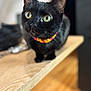 animal, black_cat, blurred_background, cat, close_up, collar, curious, cute, domestic_cat, feline, focused, house, indoor, looking_up, pet, portrait, small, whiskers, wooden_table, yellow_eyes