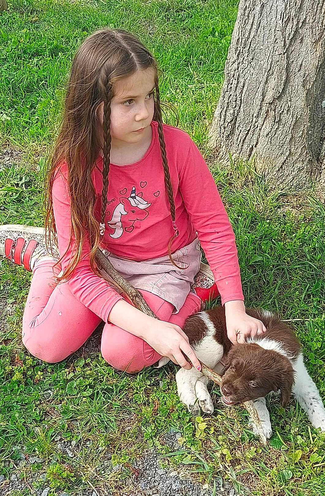Lorine participe au concours pour gagner de l'argent avec cette photo : child, girl, puppy, dog, grass, tree, stick, braids, pink_clothing, outdoor, playful, pet, animal, nature, young, sitting, cute, summer, casual, fun