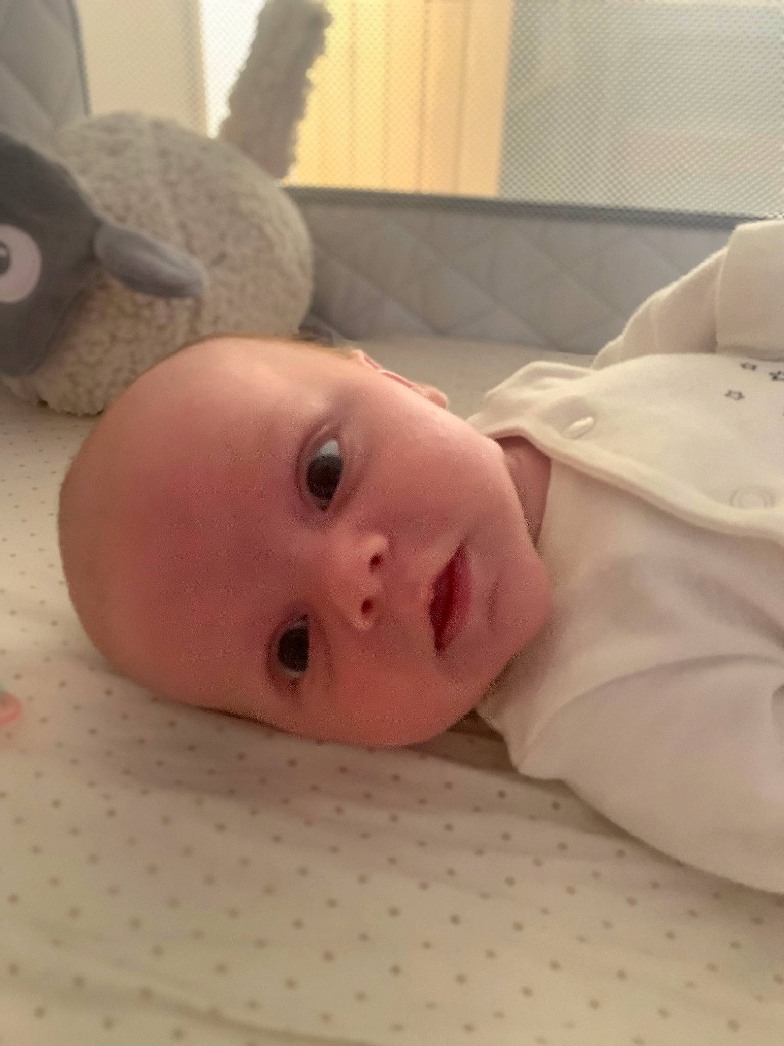 Alfie is registered to the contest to win money with this photo: baby, baby_products, baby_safety, baby_toddler_clothing, cheek, child, chin, comfort, eyebrow, eyelash, fur, human_body, linens, lip, nose, person, sleeve, stuffed_toy, toddler, toy