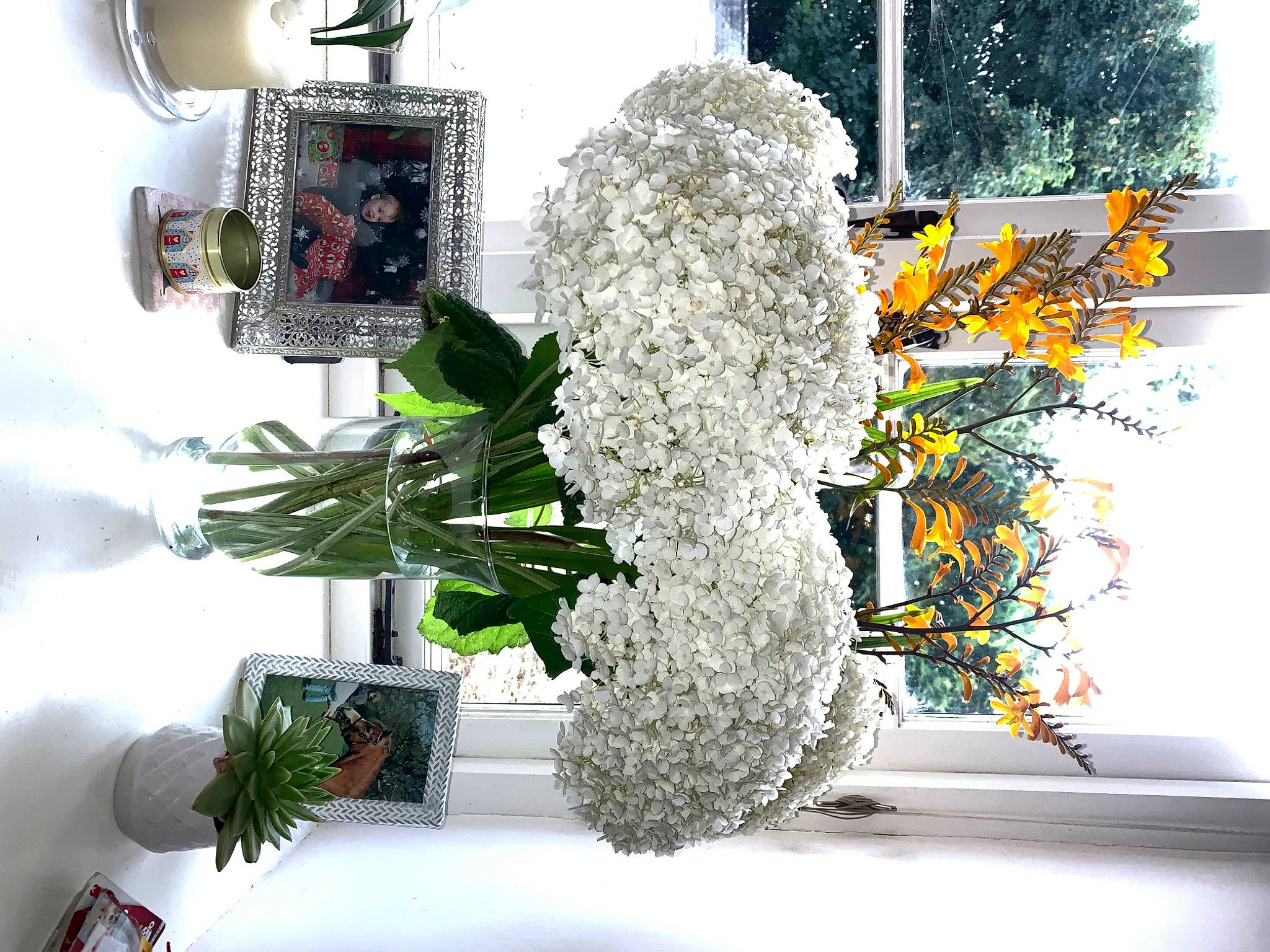 Alfie is registered to the contest to win money with this photo: art, artificial_flower, bouquet, branch, creative_arts, cut_flowers, floristry, flower, flower_arranging, font, interior_design, lighting, person, petal, photograph, plant, surprise, table, tree, twig