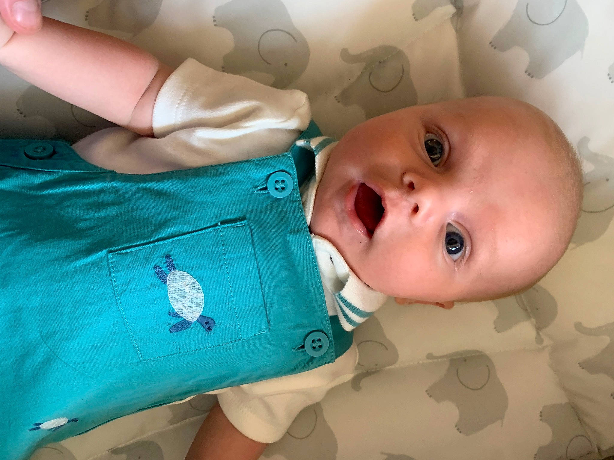 Alfie is registered to the contest to win money with this photo: baby, baby_products, baby_safety, baby_toddler_clothing, cheek, child, comfort, electric_blue, fashion_accessory, finger, gesture, happy, linens, nail, pattern, person, skin, sleeve, thumb, toddler