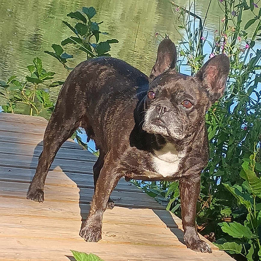 Izzy