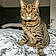 Narla