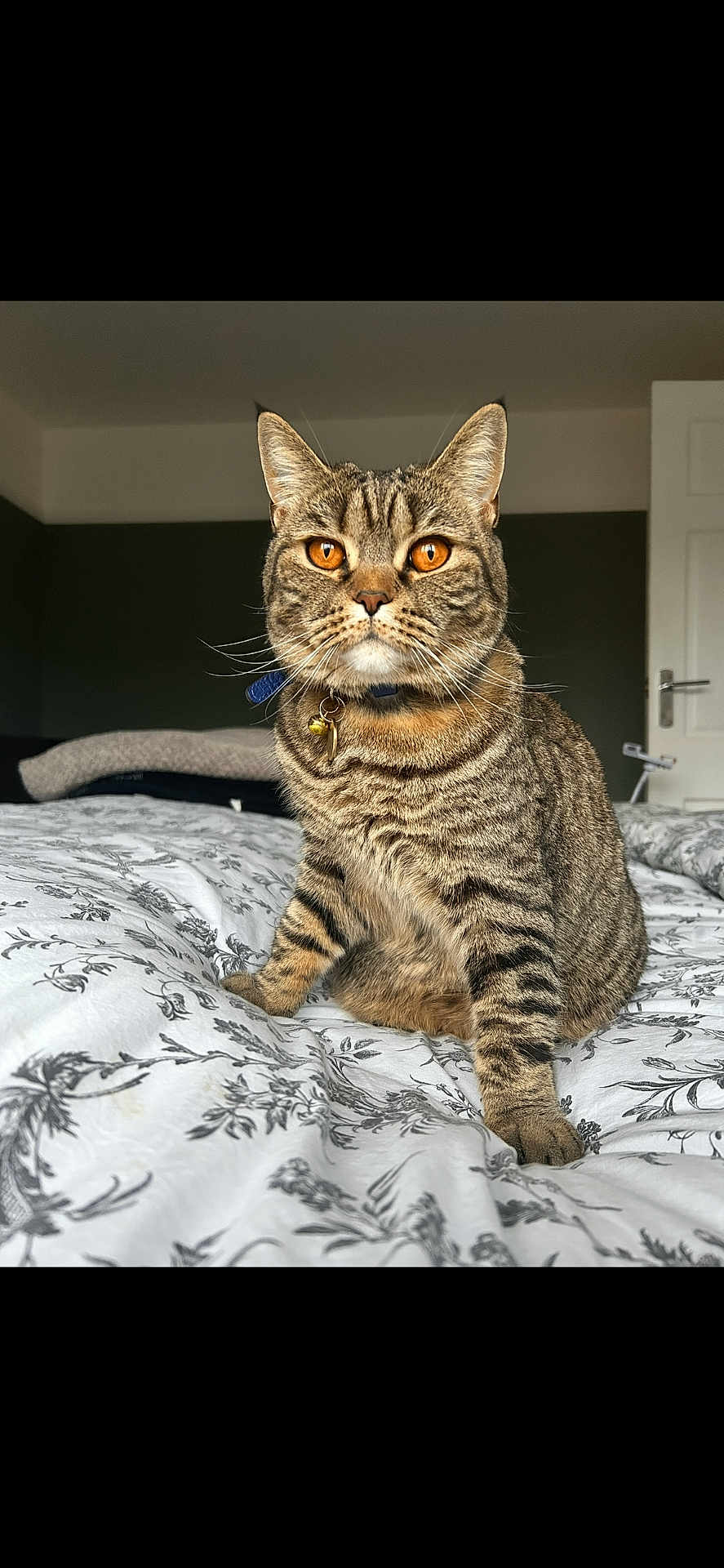 Narla