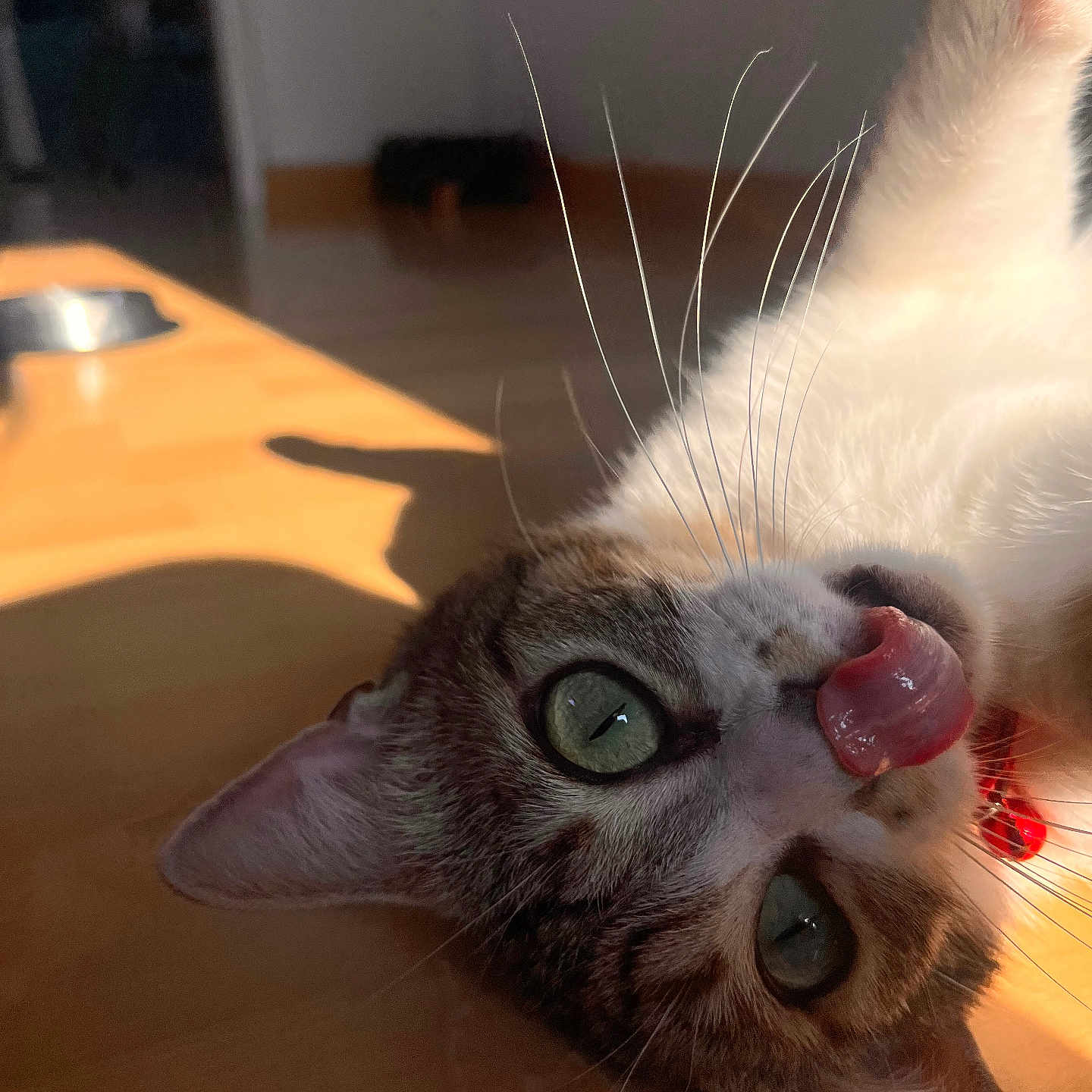 Louna