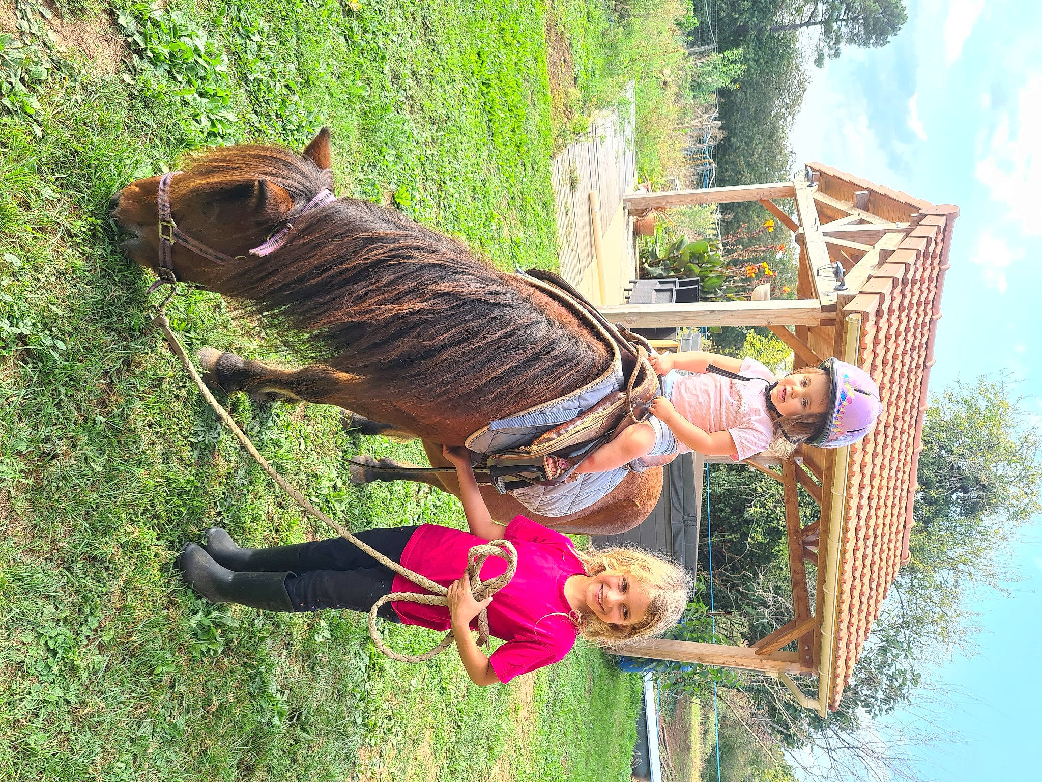 Lou a rejoint le concours — aidez-le/la à gagner de superbes lots ! bridle, fun, grass, green, happy, headwear, horse, horse_supplies, horse_tack, joy, leisure, liver, nature, people_in_nature, person, plant, recreation, sky, smile, terrestrial_animal
