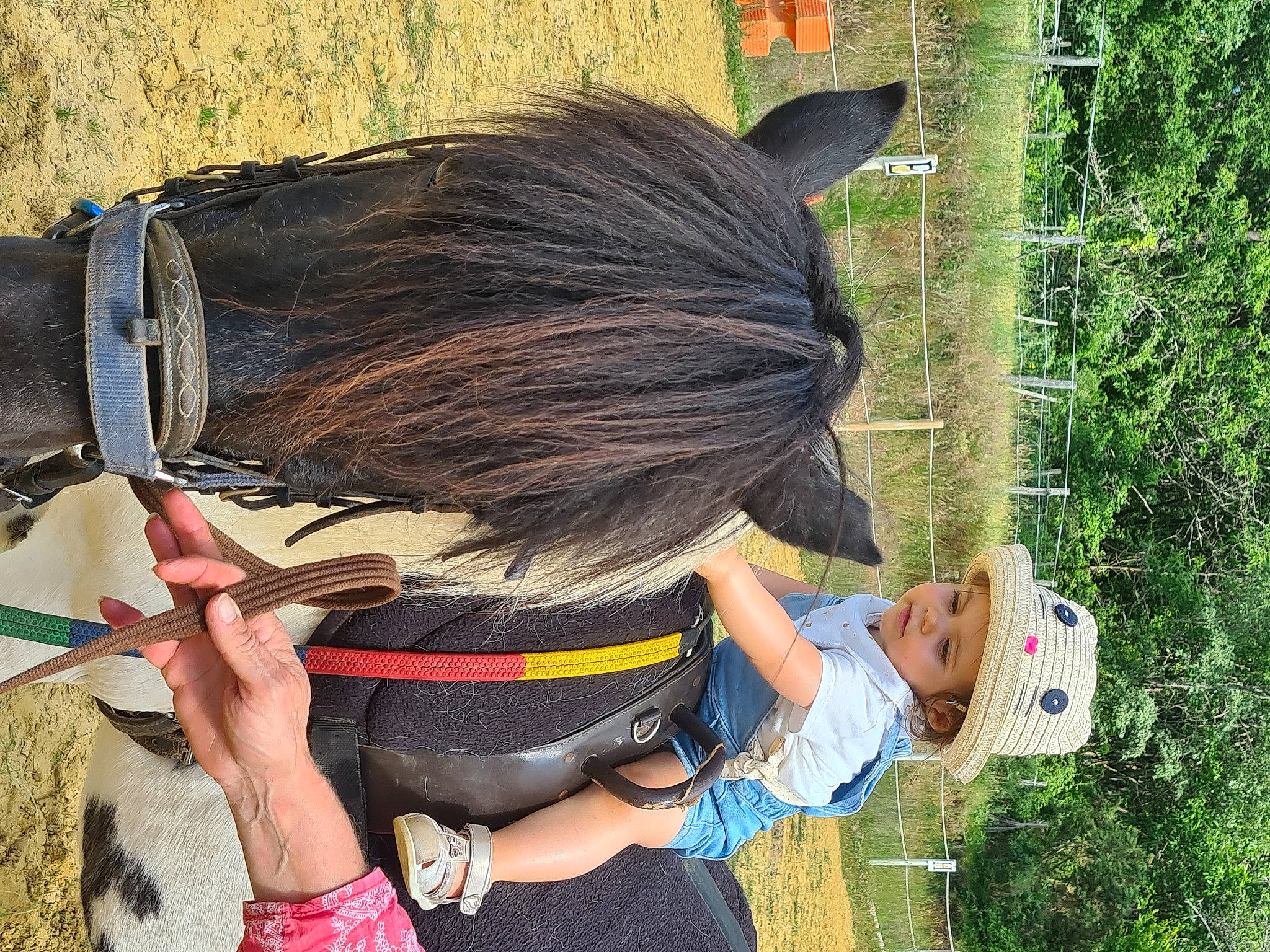 Lou participe au concours pour gagner de l'argent avec cette photo : bridle, fashion_accessory, fun, fur, grass, headgear, headwear, horse_supplies, horse_tack, liver, mane, mare, organism, pack_animal, person, plant, recreation, rein, stallion, tail