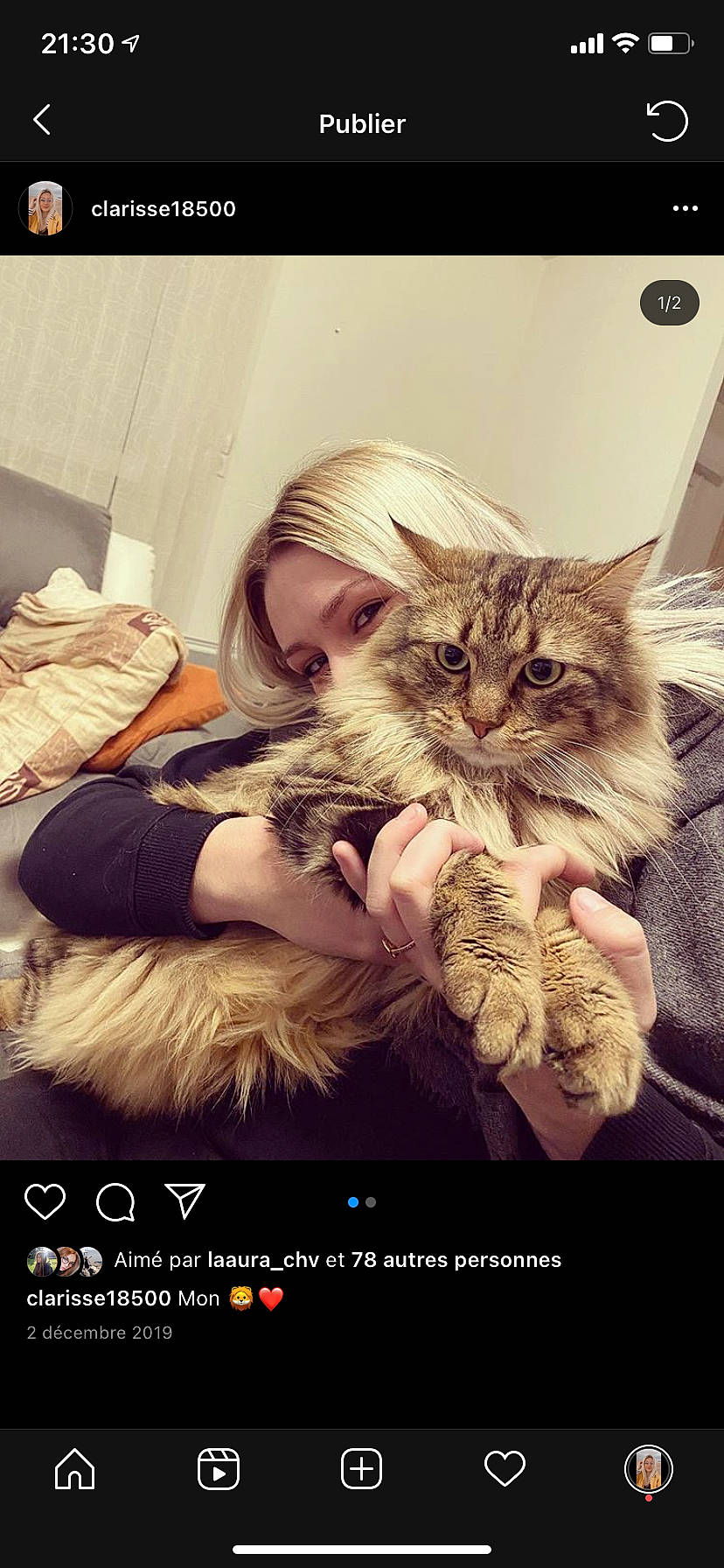 Mouss participe au concours pour gagner de l'argent avec cette photo : asian, carnivore, cat, european_shorthair, felidae, fur, gesture, hug, kitten, maine_coon, norwegian_forest_cat, photo_caption, photography, pixie_bob, siberian, small_to_medium_sized_cats, snapshot, tabby_cat, whiskers