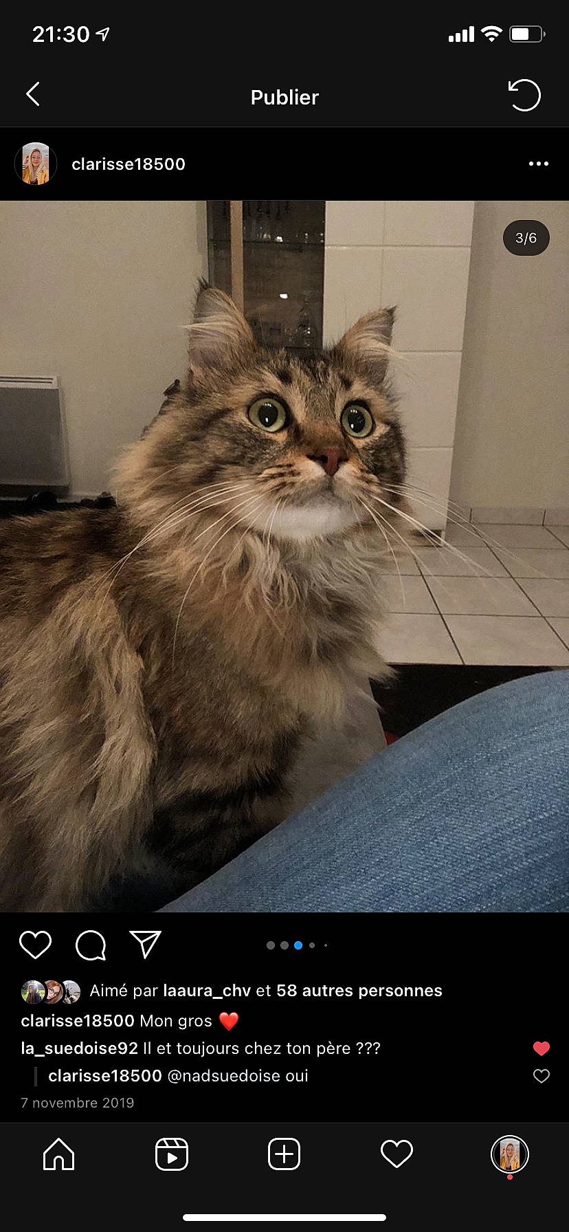 Mouss participe au concours pour gagner de l'argent avec cette photo : asian, asian_semi_longhair, british_longhair, british_semi_longhair, carnivore, cat, domestic_long_haired_cat, european_shorthair, felidae, maine_coon, mammal, norwegian_forest_cat, photo_caption, pixie_bob, ragamuffin, siberian, small_to_medium_sized_cats, tabby_cat, whiskers, wild_cat