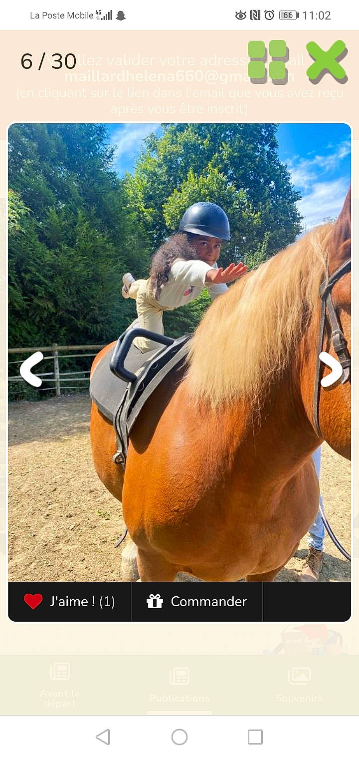 Guelhena participe au concours pour gagner de l'argent avec cette photo : beauty, bit, bridle, cool, english_riding, equestrian_helmet, equestrian_sport, headwear, helmet, horse, horse_supplies, horse_tack, landscape, liver, organism, pack_animal, person, saddle, sky, sorrel