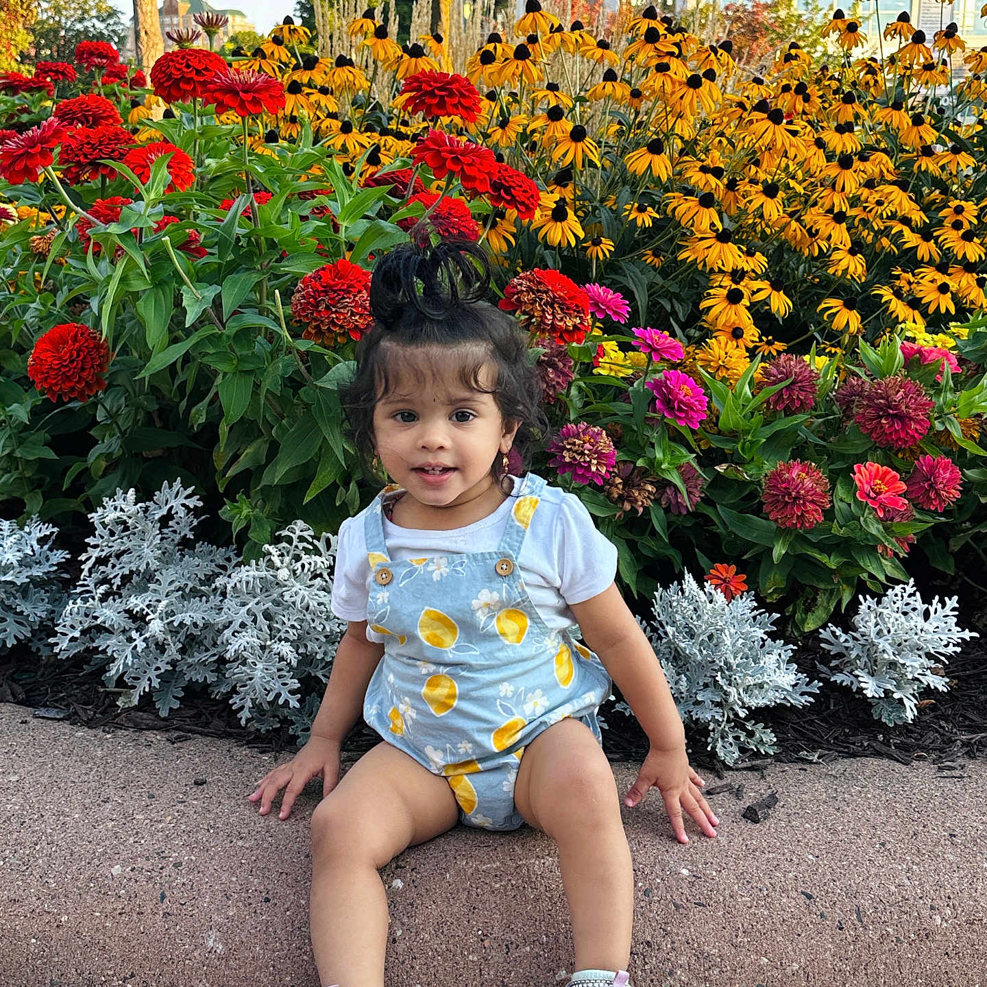 Mandaara is registered to the contest to win money with this photo: casual_clothing, child, curb, daylight, flower_bed, flowers, garden, greenery, hair_tied_up, nature, outdoor, pink_flowers, plants, red_flowers, romper, sidewalk, sneakers, toddler, white_flowers, yellow_flowers