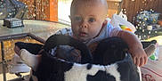 Emrick joined the competition — help win amazing prizes! baby, child, plush, cow, basket, bubbles, glass_table, outdoor, wooden_patio, curious, face, blue_eyes, hand, sunlight, decor, chair, toy, cute, person, daylight