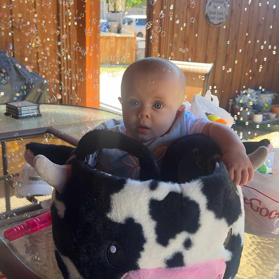 Emrick joined the competition — help win amazing prizes! baby, basket, blue_eyes, bubbles, chair, child, cow, curious, cute, daylight, decor, face, glass_table, hand, outdoor, person, plush, sunlight, toy, wooden_patio