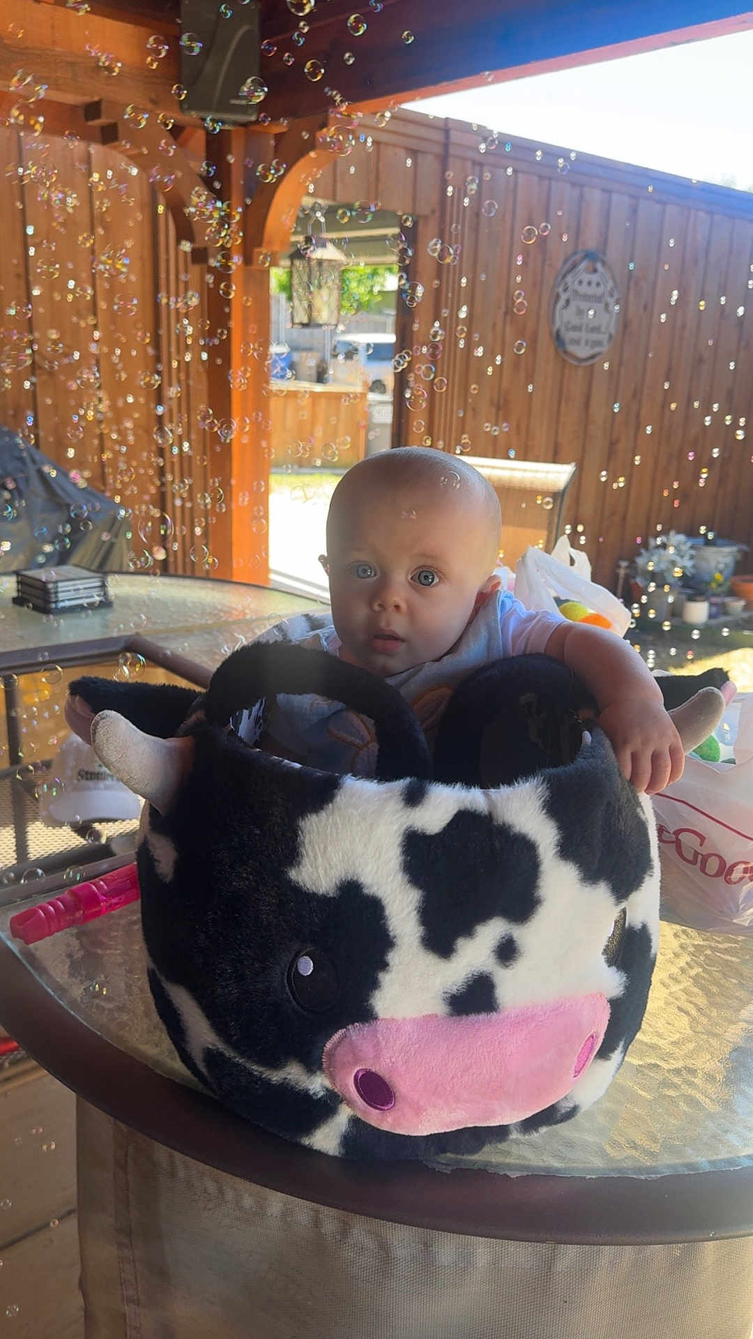 Emrick joined the competition — help win amazing prizes! baby, child, plush, cow, basket, bubbles, glass_table, outdoor, wooden_patio, curious, face, blue_eyes, hand, sunlight, decor, chair, toy, cute, person, daylight