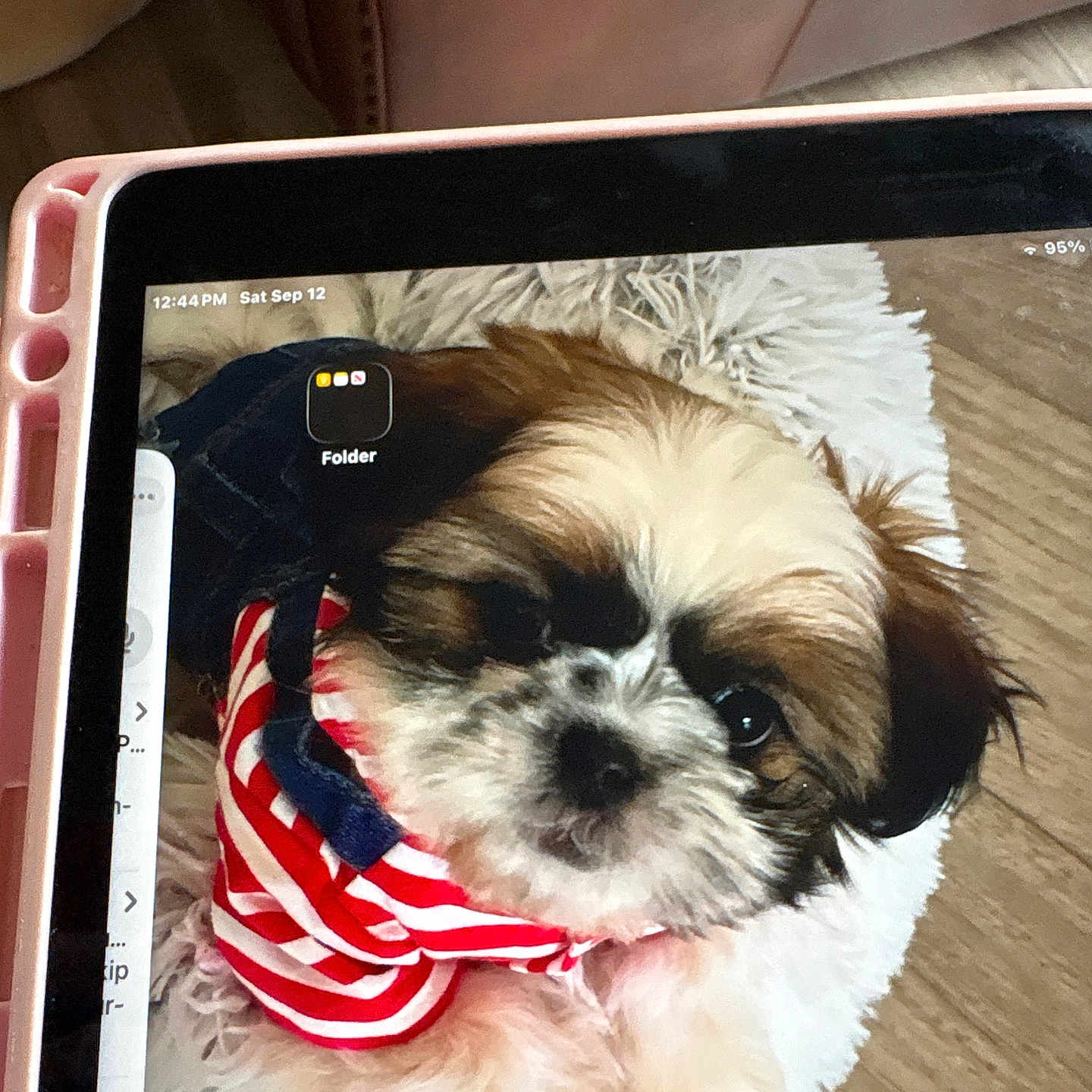 Marvy is registered to the contest to win money with this photo: animal, brown_fur, close_up, couch, cute, dog, face, fur, indoor, ipad, pet, portrait, puppy, red, screen, shih_tzu, striped_clothing, tablet, technology, white