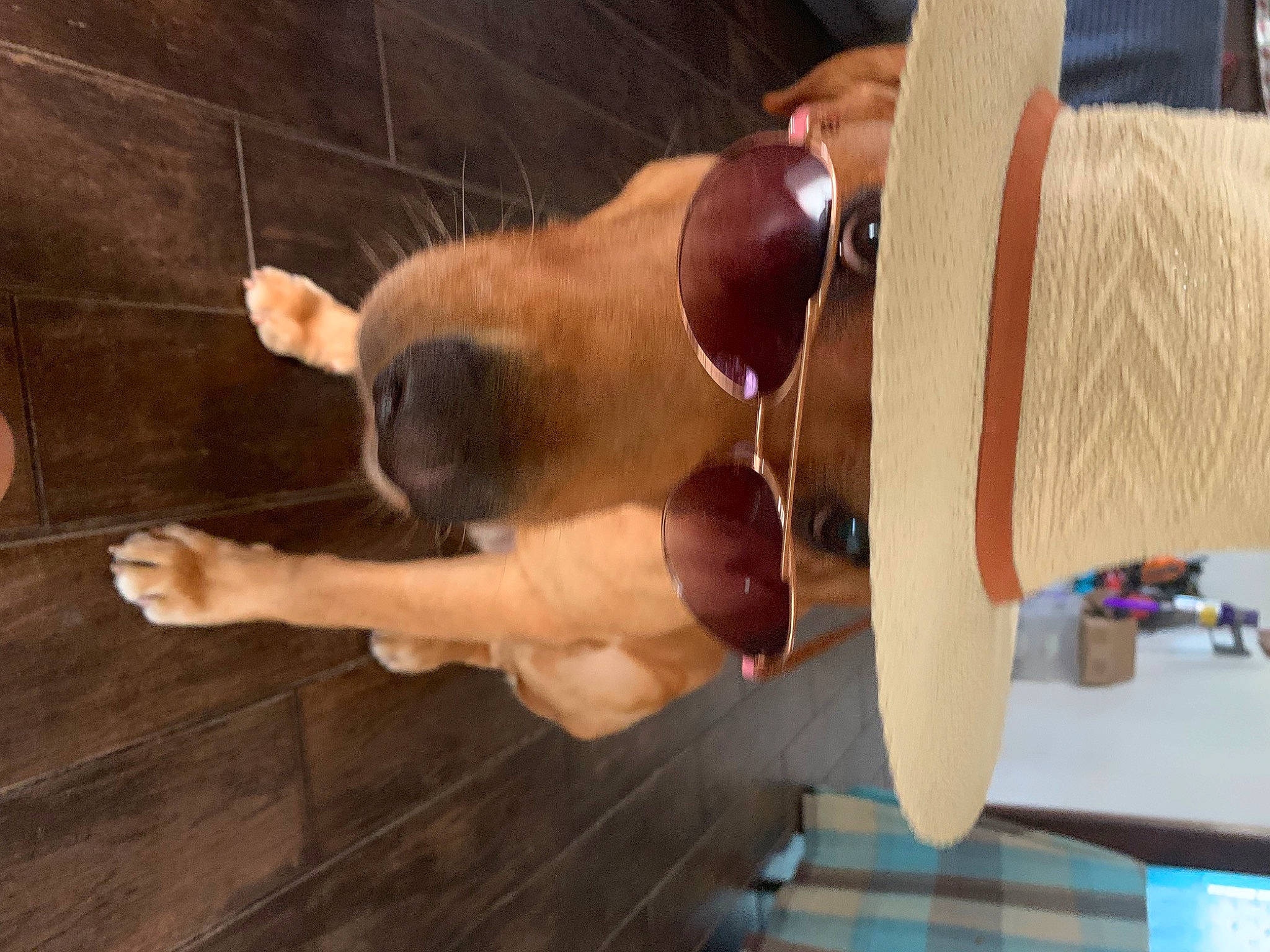 Leroy Brown ( He'S The One Float