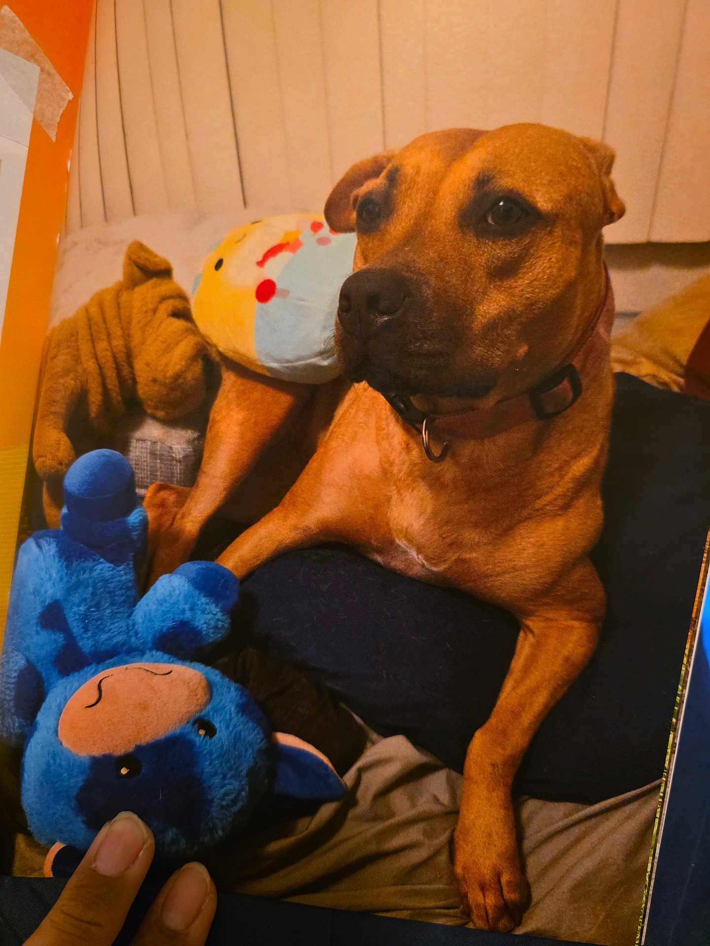 Nala