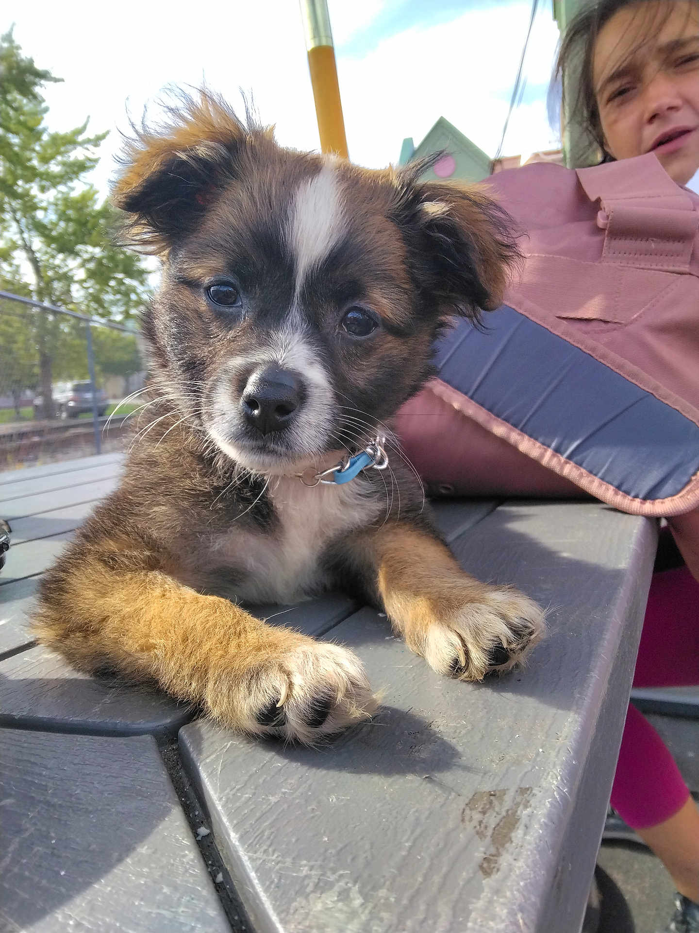 Little Guy