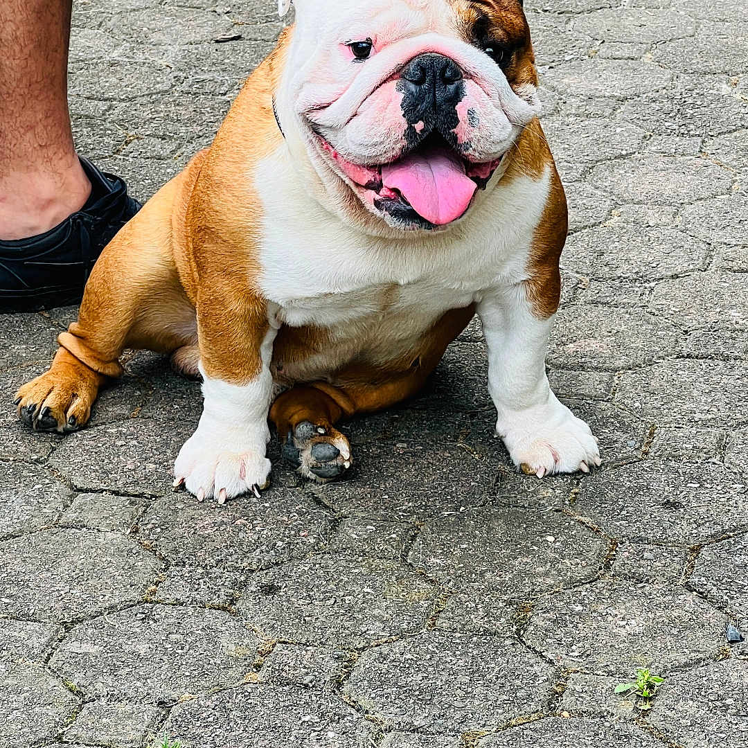 Tank