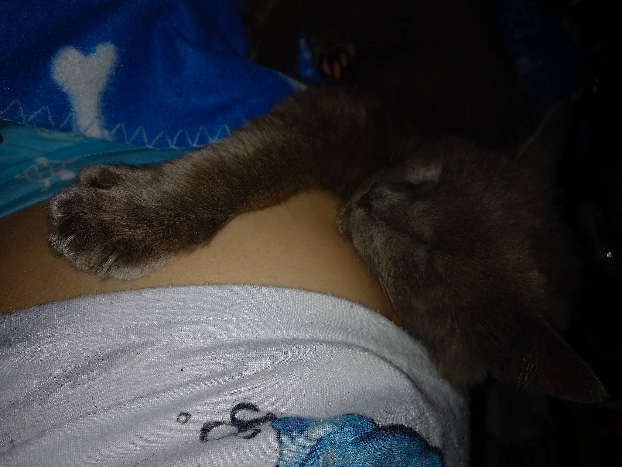 Léón a rejoint le concours — aidez-le/la à gagner de superbes lots ! carnivore, cloud, comfort, companion_dog, dog_breed, elbow, fawn, felidae, foot, gesture, human_body, human_leg, jaw, leg, small_to_medium_sized_cats, snout, tail, thigh, trunk, whiskers