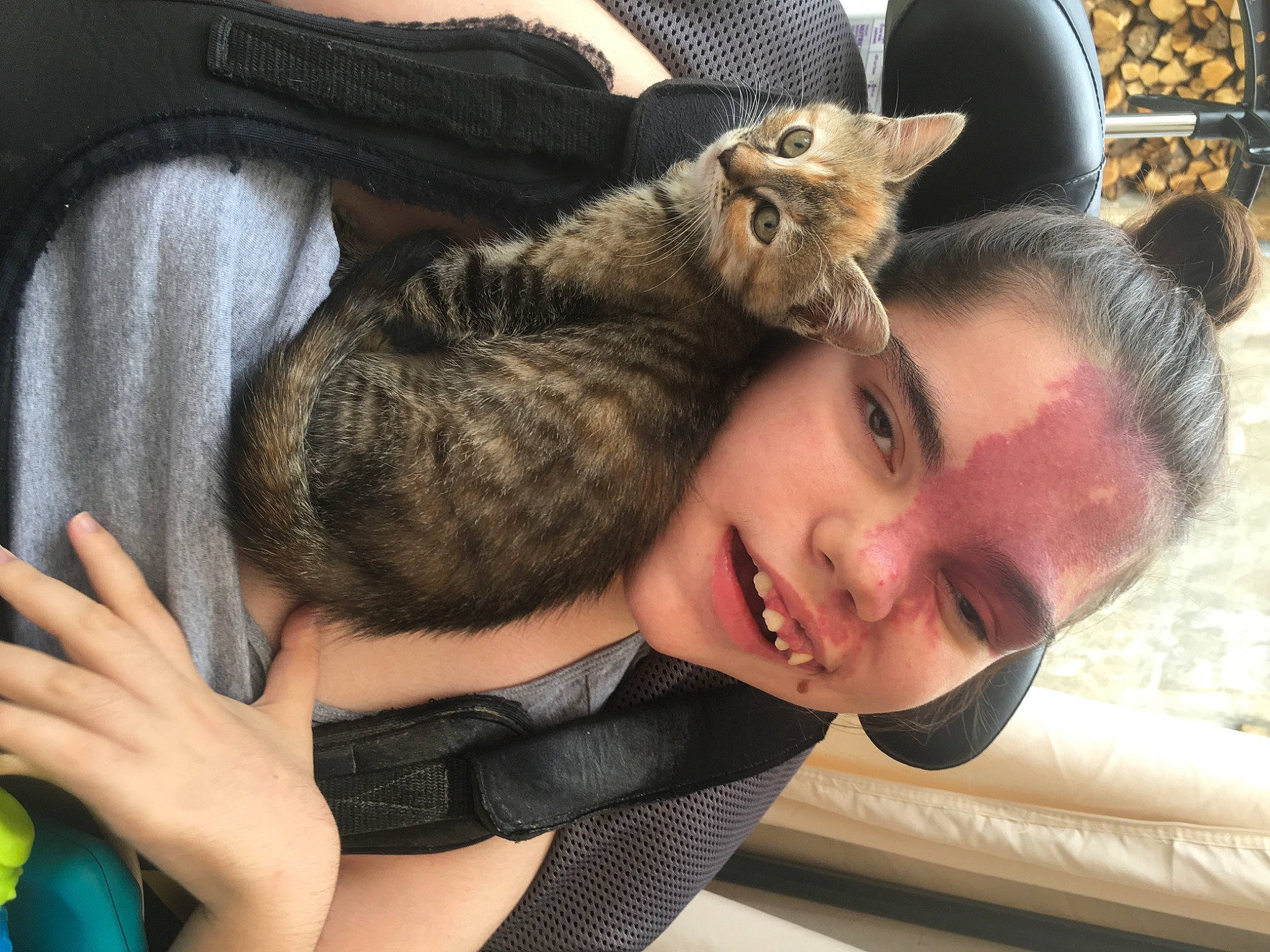 Nilou participe au concours pour gagner de l'argent avec cette photo : beard, cat, child, comfort, domestic_short_haired_cat, ear, facial_expression, felidae, finger, fun, fur, gesture, hand, happy, hug, sitting, small_to_medium_sized_cats, smile, vacation, whiskers