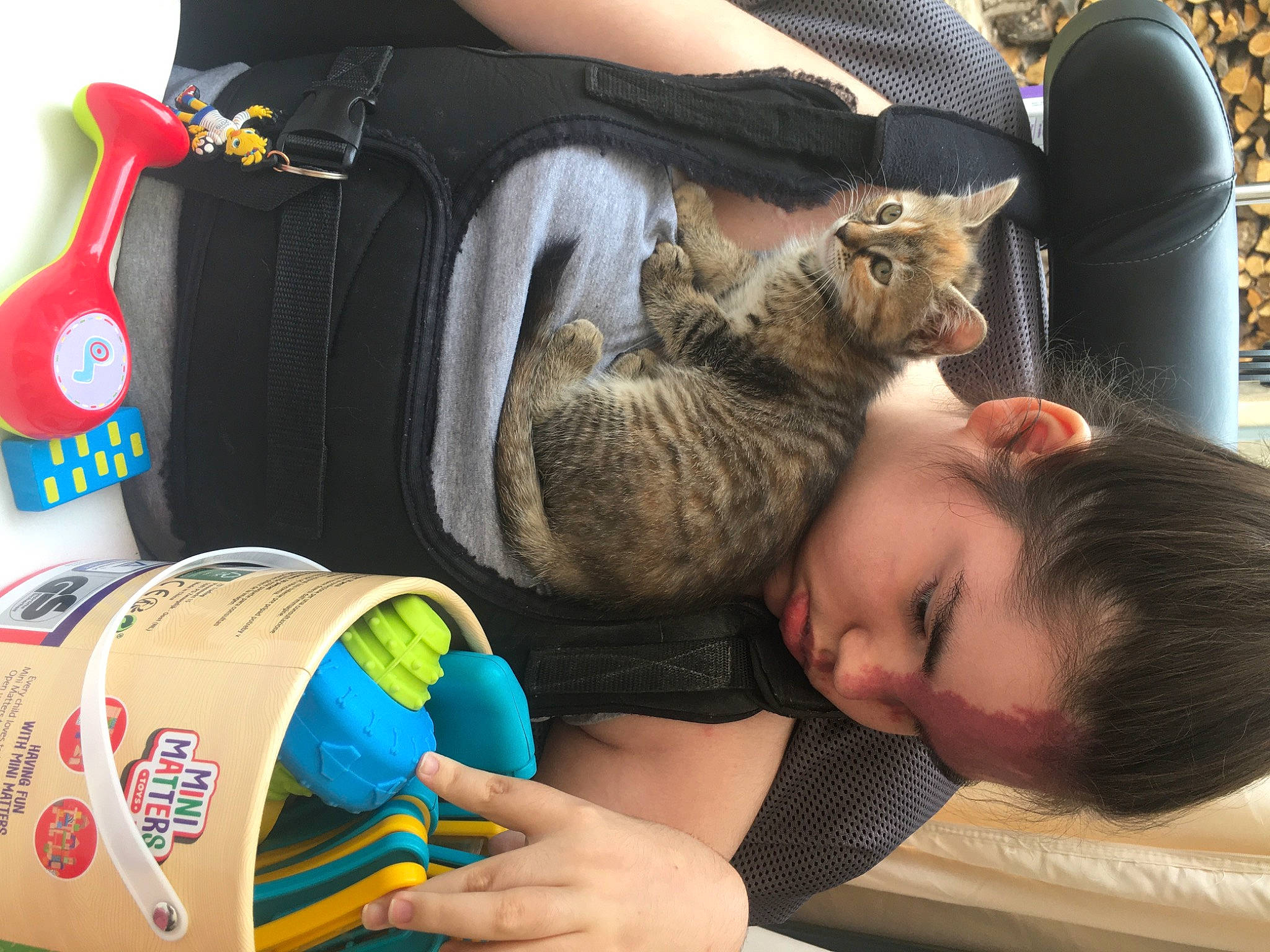 Nilou participe au concours pour gagner de l'argent avec cette photo : bag, cat, child, comfort, couch, domestic_short_haired_cat, felidae, flooring, fun, fur, hand, lap, leisure, nap, play, sharing, sitting, small_to_medium_sized_cats, toddler, whiskers