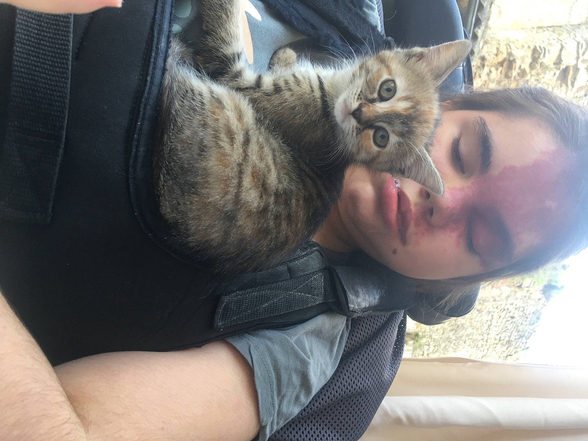 Nilou a rejoint le concours — aidez-le/la à gagner de superbes lots ! beard, carnivore, cat, claw, comfort, domestic_short_haired_cat, elbow, eye, eyewear, felidae, fur, gesture, selfie, sitting, small_to_medium_sized_cats, snout, sunglasses, tail, vision_care, whiskers