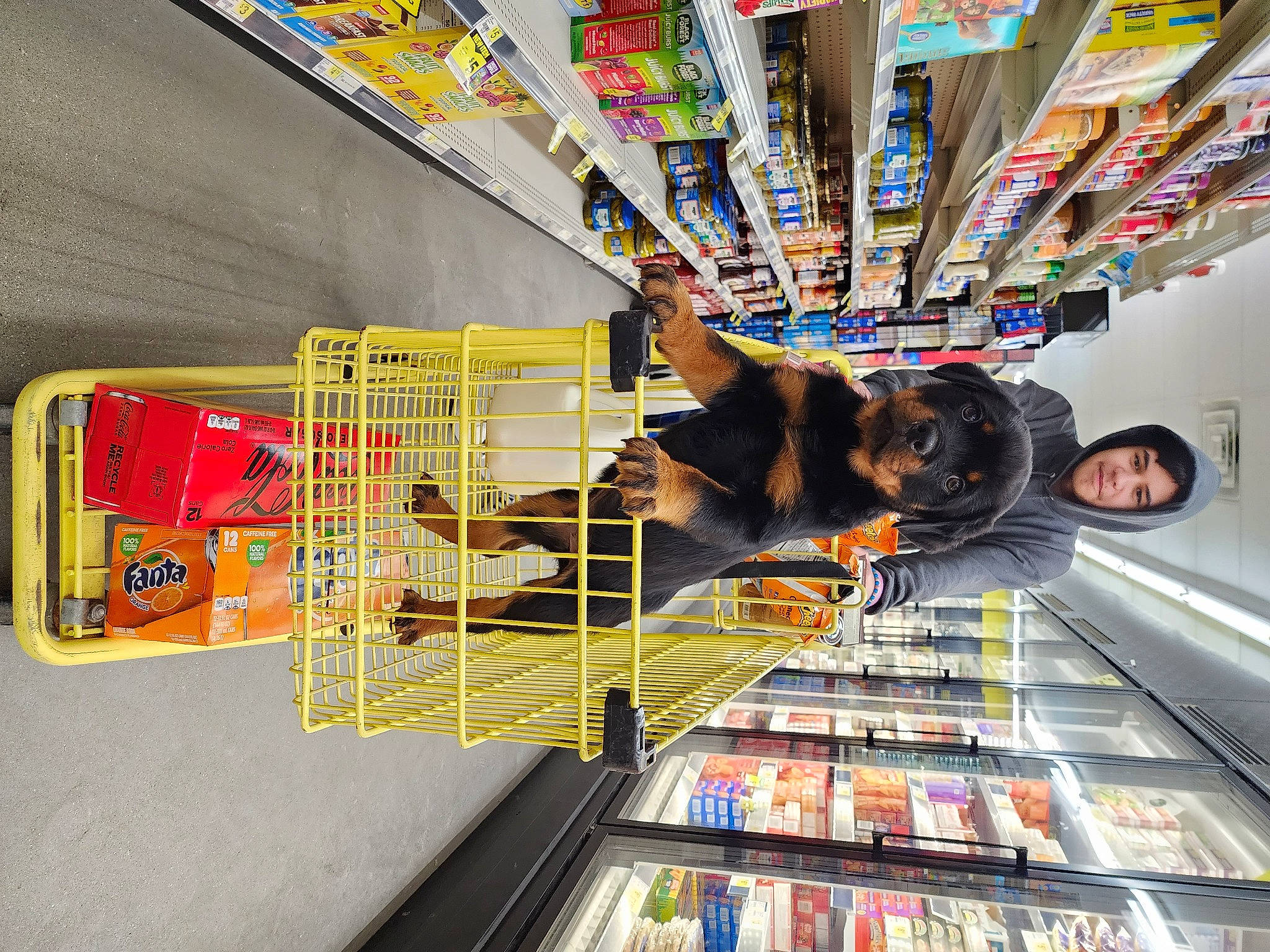 Brutus is registered to the contest to win money with this photo: building, child, convenience_store, customer, engineering, fun, games, handrail, leisure, publication, recreation, retail, room, shelf, shelving, shopping, stairs, t_shirt, transport, visual_arts