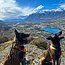 dog, outdoor, mountain, rock, sky, cloud, harness, leash, river, town, valley, nature, scenery, sunlight, pet, animal, landscape, snow, daytime, grass